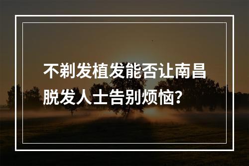 不剃发植发能否让南昌脱发人士告别烦恼？