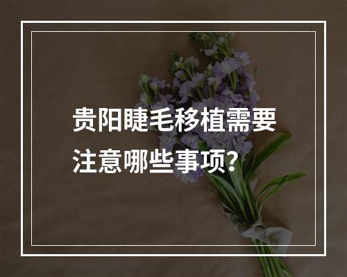 贵阳睫毛移植需要注意哪些事项？