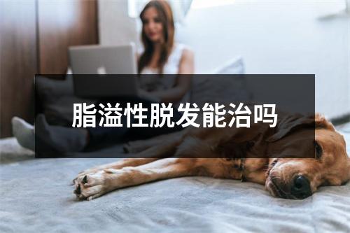 脂溢性脱发能治吗