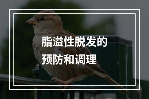 脂溢性脱发的预防和调理