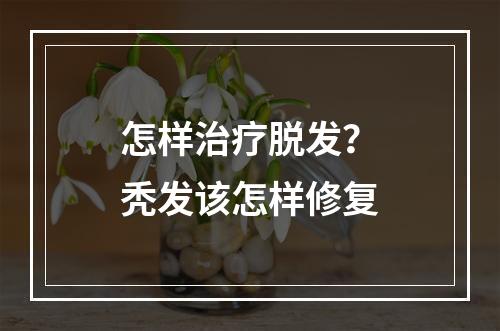 怎样治疗脱发？秃发该怎样修复