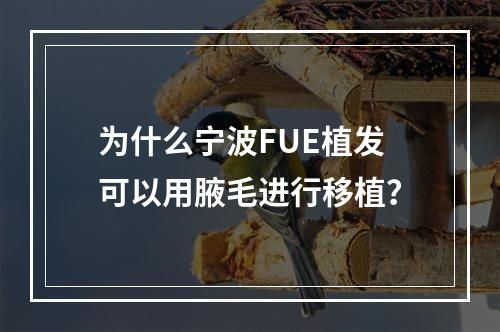 为什么宁波FUE植发可以用腋毛进行移植？