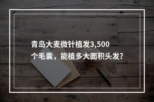 青岛大麦微针植发3,500个毛囊，能植多大面积头发？