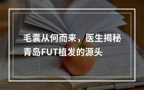 毛囊从何而来，医生揭秘青岛FUT植发的源头