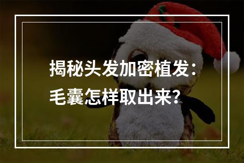 揭秘头发加密植发：毛囊怎样取出来？