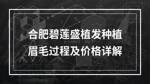 合肥碧莲盛植发种植眉毛过程及价格详解