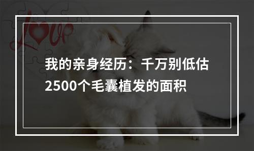 我的亲身经历：千万别低估2500个毛囊植发的面积