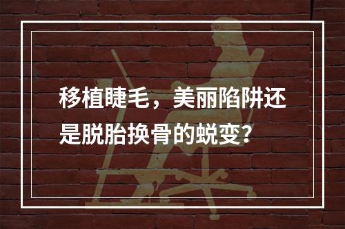 移植睫毛，美丽陷阱还是脱胎换骨的蜕变？