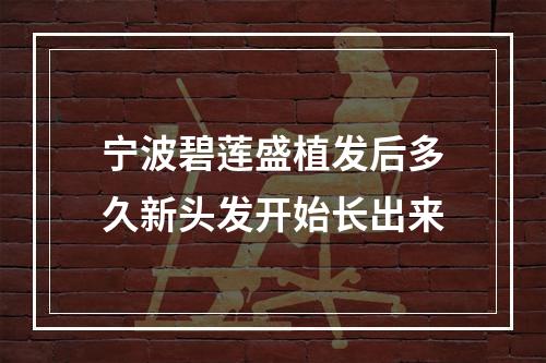 宁波碧莲盛植发后多久新头发开始长出来