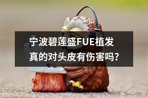 宁波碧莲盛FUE植发真的对头皮有伤害吗？