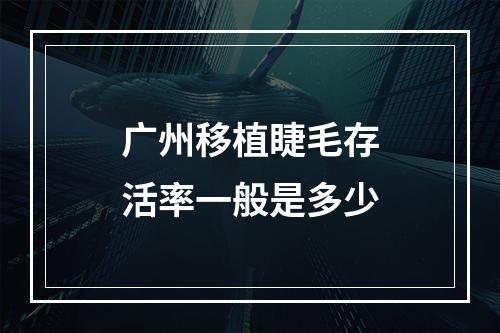 广州移植睫毛存活率一般是多少