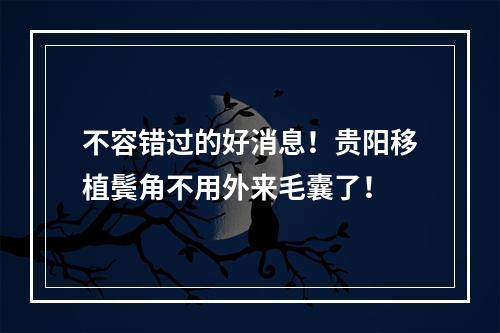 不容错过的好消息！贵阳移植鬓角不用外来毛囊了！