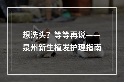 想洗头？等等再说——泉州新生植发护理指南