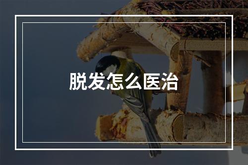 脱发怎么医治