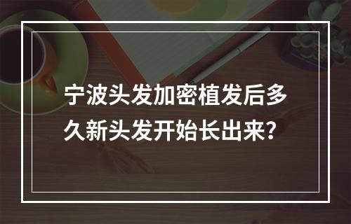 宁波头发加密植发后多久新头发开始长出来？