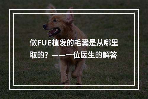 做FUE植发的毛囊是从哪里取的？——一位医生的解答