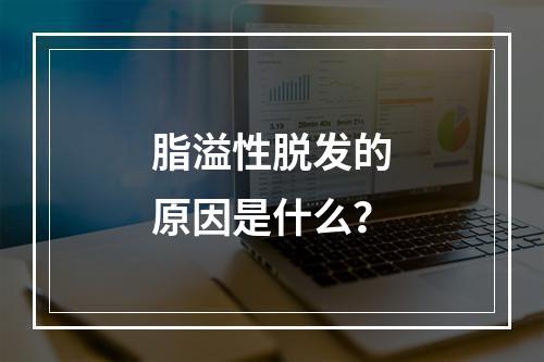 脂溢性脱发的原因是什么？