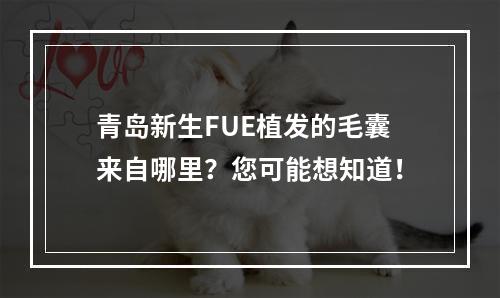 青岛新生FUE植发的毛囊来自哪里？您可能想知道！