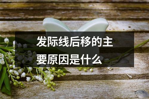 发际线后移的主要原因是什么