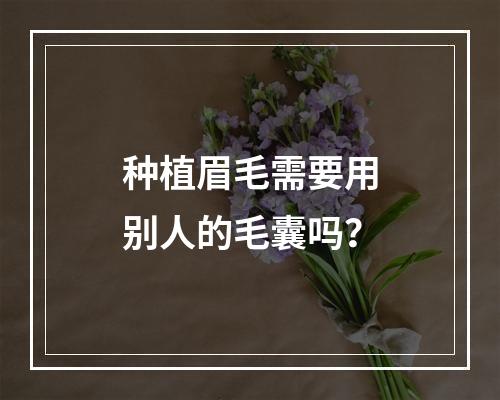 种植眉毛需要用别人的毛囊吗？