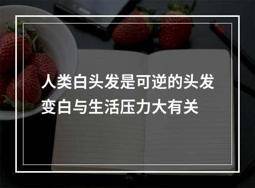 人类白头发是可逆的头发变白与生活压力大有关