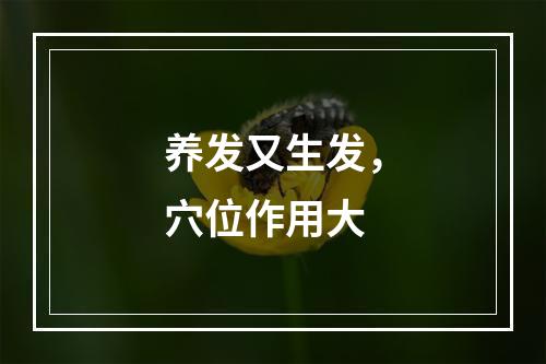 养发又生发，穴位作用大