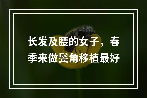 长发及腰的女子，春季来做鬓角移植最好