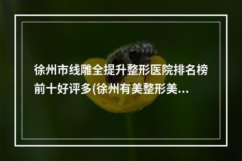 徐州市线雕全提升整形医院排名榜前十好评多(徐州有美整形美容中心治疗都实惠)