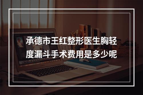 承德市王红整形医生胸轻度漏斗手术费用是多少呢