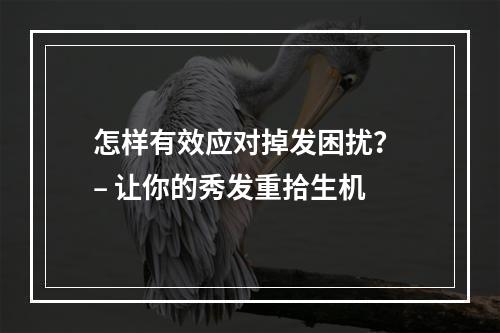 怎样有效应对掉发困扰？ – 让你的秀发重拾生机