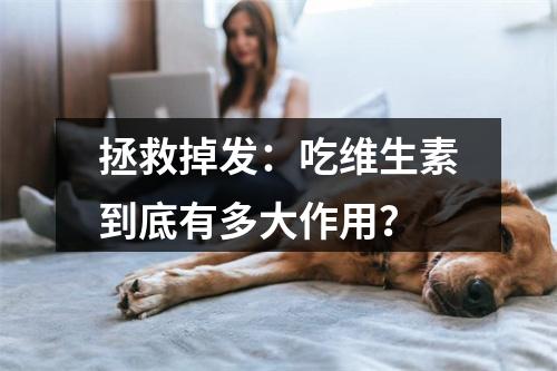 拯救掉发：吃维生素到底有多大作用？