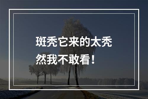 斑秃它来的太秃然我不敢看！