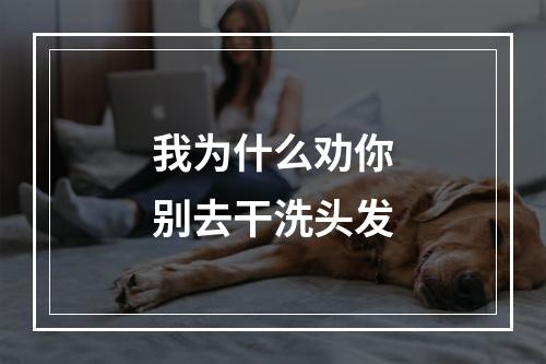 我为什么劝你别去干洗头发