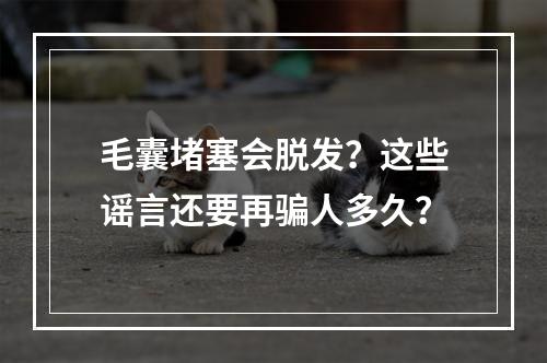 毛囊堵塞会脱发？这些谣言还要再骗人多久？