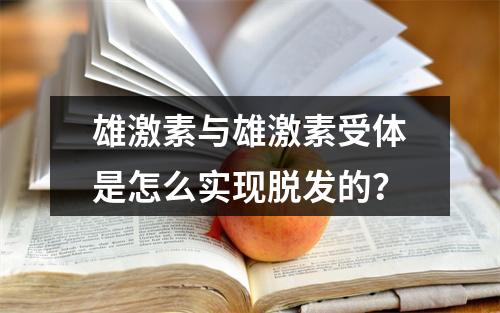 雄激素与雄激素受体是怎么实现脱发的？