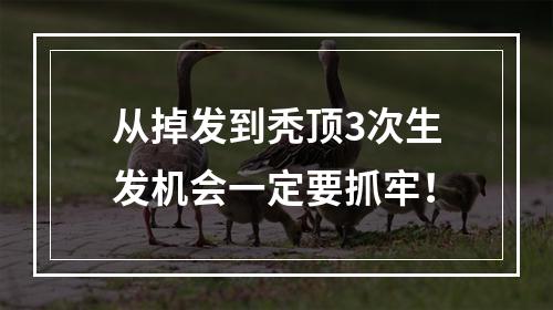 从掉发到秃顶3次生发机会一定要抓牢！