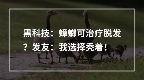 黑科技：蟑螂可治疗脱发？发友：我选择秃着！