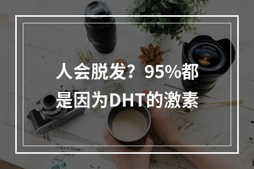 人会脱发？95%都是因为DHT的激素