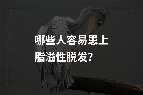 哪些人容易患上脂溢性脱发？