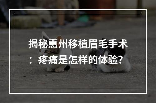 揭秘惠州移植眉毛手术：疼痛是怎样的体验？