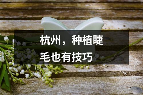 杭州，种植睫毛也有技巧