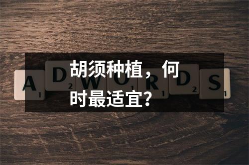 胡须种植，何时最适宜？