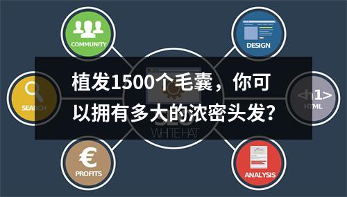 植发1500个毛囊，你可以拥有多大的浓密头发？