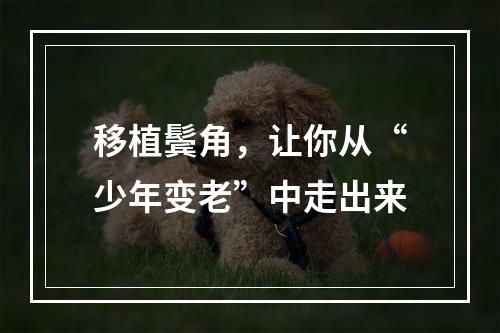 移植鬓角，让你从“少年变老”中走出来