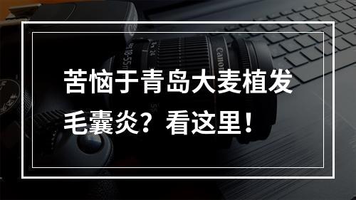 苦恼于青岛大麦植发毛囊炎？看这里！