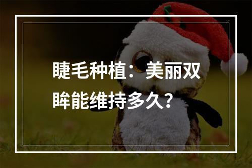 睫毛种植：美丽双眸能维持多久？