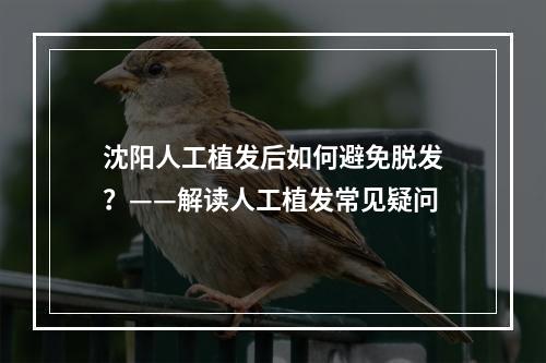 沈阳人工植发后如何避免脱发？——解读人工植发常见疑问