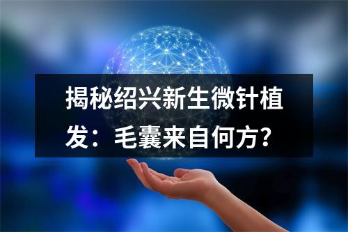 揭秘绍兴新生微针植发：毛囊来自何方？