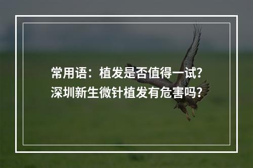 常用语：植发是否值得一试？深圳新生微针植发有危害吗？