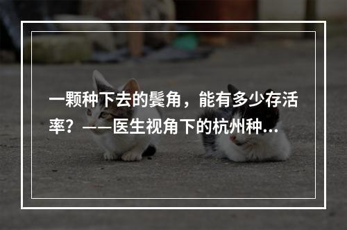 一颗种下去的鬓角，能有多少存活率？——医生视角下的杭州种植鬓角探究